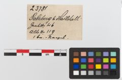 Etiketten zu Bronzenagel (NHMW-PRAE-023781)